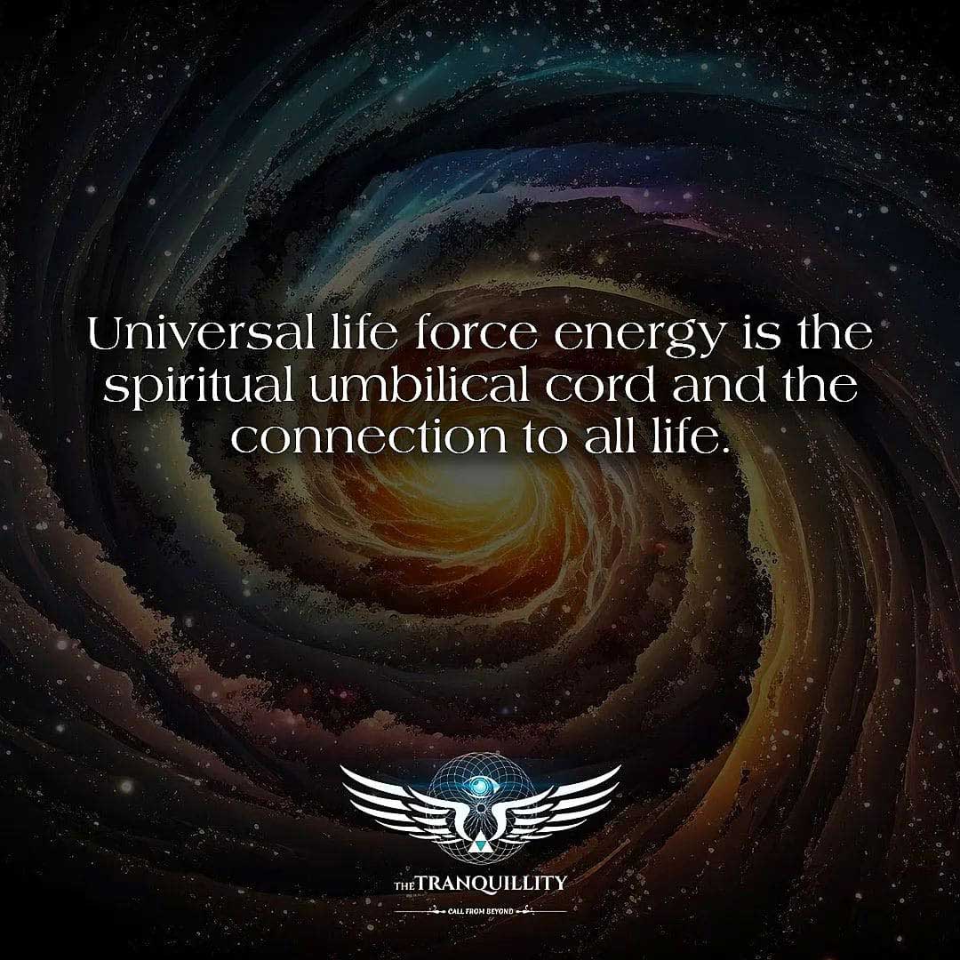 Universal Life Force