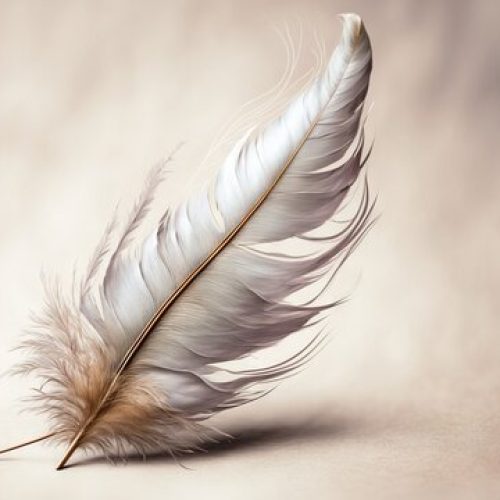 Feather